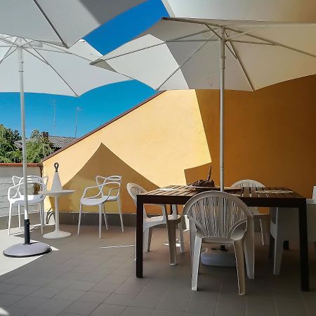 Appartamento Con Terrazza Lido delle Nazioni Εξωτερικό φωτογραφία
